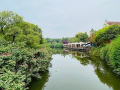 -成都南湖公园