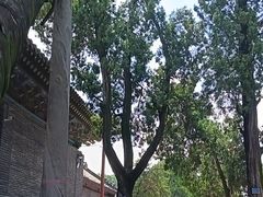 -关林