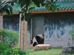 -广州动物园