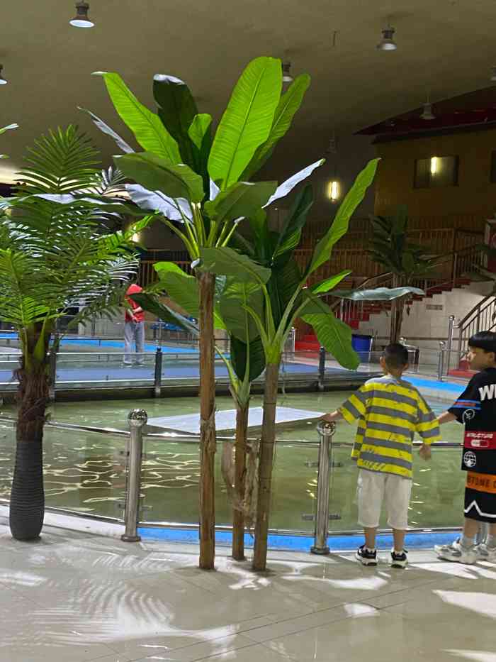 濮阳海洋馆-"上次一日游 自驾开车先去的海洋馆对面的.