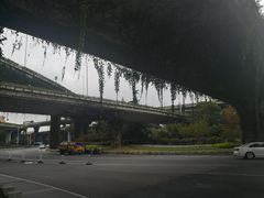 -南京眼步行桥