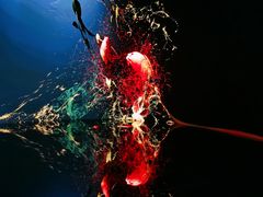 -交通银行前滩31演艺中心