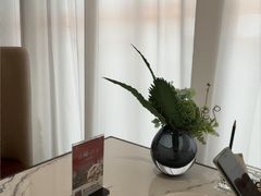 -欢乐海岸美食联盟