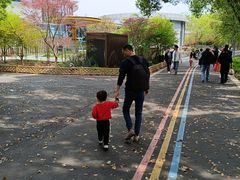 -同里国家湿地公园