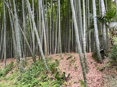 -同里国家湿地公园