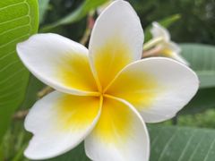 -北京植物园-展览温室