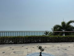 -日落吧·海景咖啡厅·餐酒吧·鸡尾酒·下午茶·乐队表演·浪漫夕阳·三亚文华东方酒店