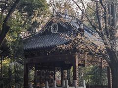 -汇龙潭