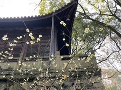-宁波市保国寺古建筑博物馆