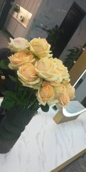 -时尚玩家发型设计