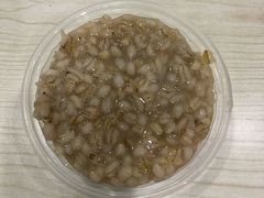 青稞酸奶-雪露酸奶