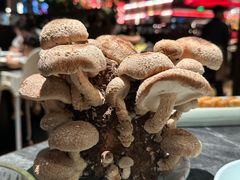 -捞王猪肚鸡火锅(金华义乌之心店)