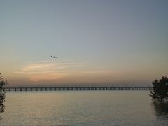 -宝安西湾红树林湿地公园