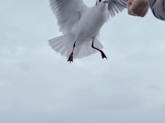 -小普陀
