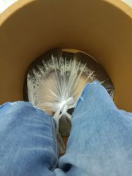 -派恩宜灰指甲鸡眼嵌甲手足癣