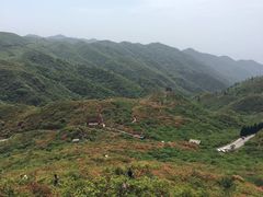 -大围山国家森林公园