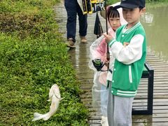 -暮谷MUGO ·团建聚会·露营烧烤·生日派对·共享菜地
