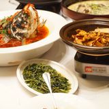 长沙美食♨️鱼鲜‼️❗饭怕鱼🐟🐟