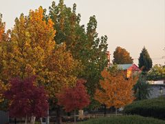 -中华石雕艺术园