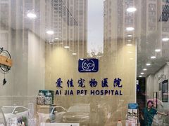 -爱佳宠物中心医院24H·CT·骨外科·猫专科(瑶海万达店)