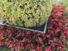 -李先生(邢台国际新城店)