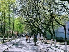 -山东师范大学(千佛山校区)