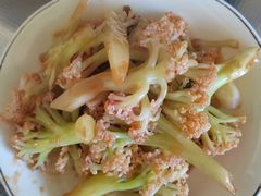 -天鹅到家·保姆月嫂育儿嫂(总店)