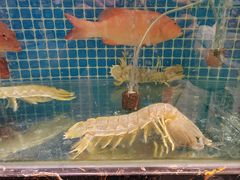 -肥福排档(星光店)