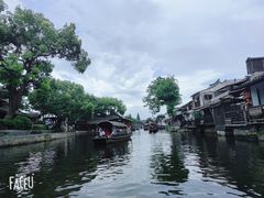 -西塘人家•黑金冠本地好店