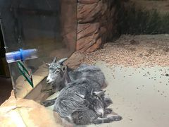-正佳雨林生态植物园