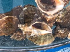 -海之味海鲜大咖·家常菜