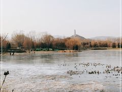-北坞公园