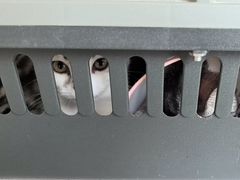 -瑞派宠物医院·犬猫全科·猫友好(宾水西道店)