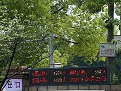 -嘉定紫藤园