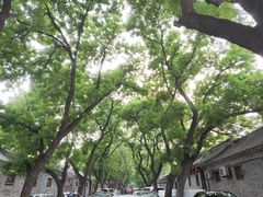 -北京国子监胡同