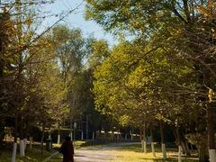 -长白岛森林公园