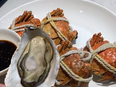 -杨氏青龙虾·羊蝎子(金盛路总店)