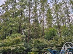 -徐家汇源景区-衡山公园