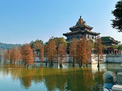 -顺峰山公园