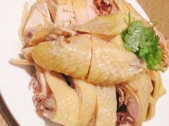 -泰煌鸡·上海白斩鸡·鸡汤面(鹤庆店)