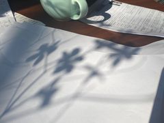 -VESH COFFEE(定西路店)