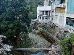 -月光园游月山庄