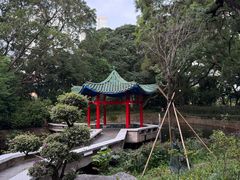 -九龙公园