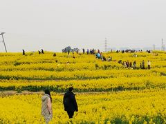-三圣花乡旅游区
