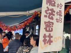 -猫的魔法密林(衣裳街店)