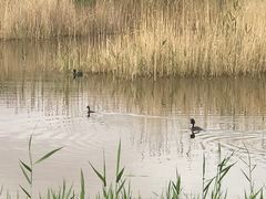 -沙漠世界地质公园