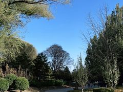 -元大都城垣遗址公园