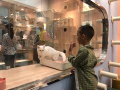 -BABIT巴比特宠物(MOMOPARK店)