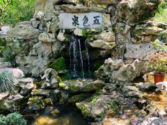 -上海醉白池公园