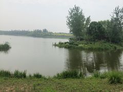 -东郊湿地公园